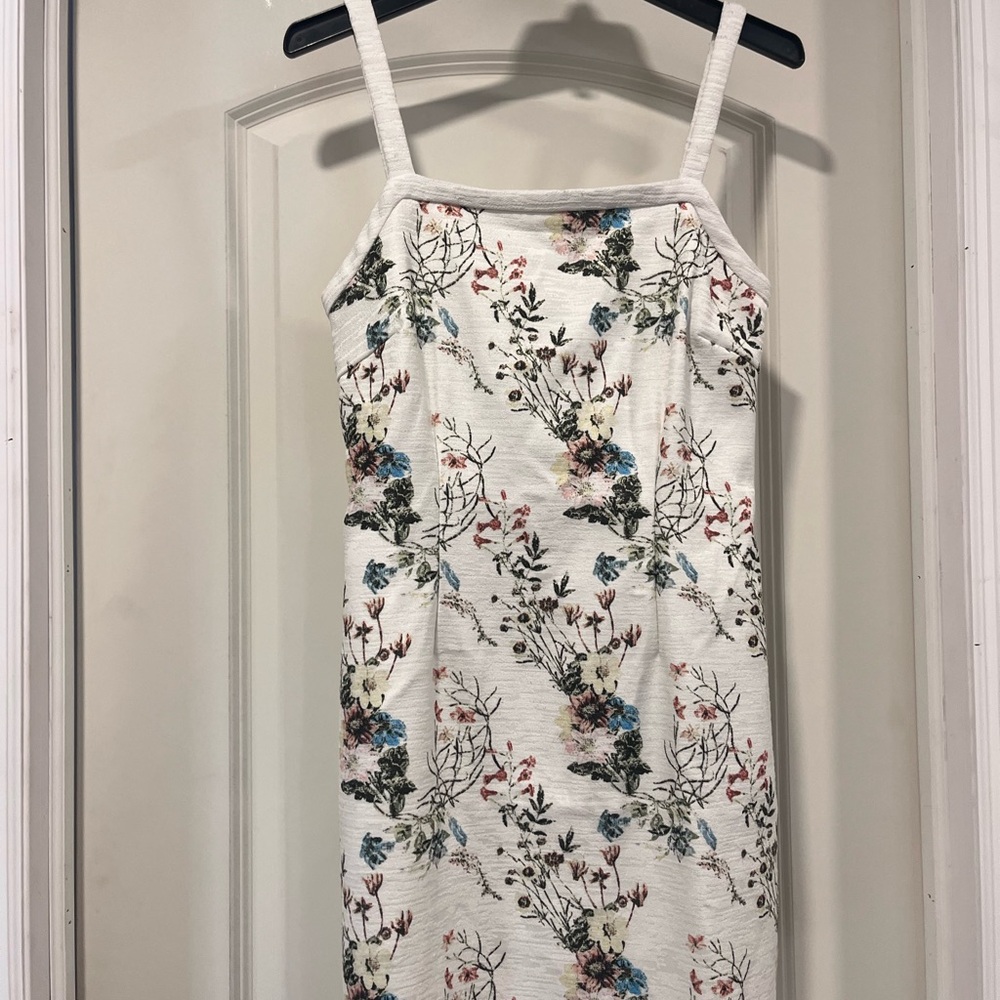 Dress and Jacket suit